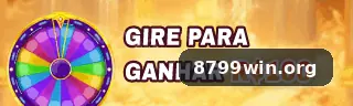 8799win Contato - 8799win 1